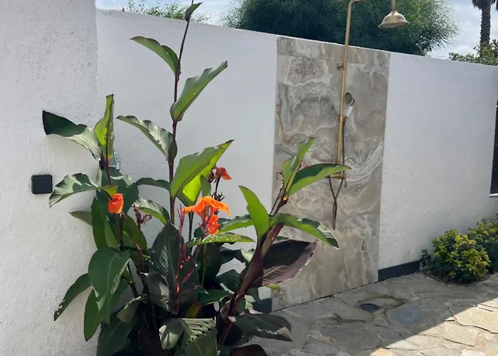 Altea- Lido Marana - Piscine Privee Exclusive - A Pied - 3 Bedrooms House - Private Swimming Pool - Access On Foot バスティア